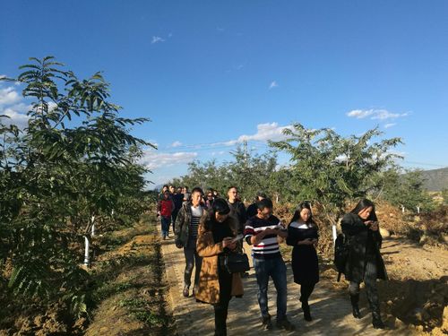玉溪旅游行業協會旅游商品與裝備分會2016年年會在新平貓哆哩莊園舉行